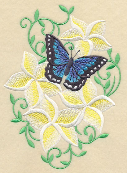 Frangipani and Butterfly - Image 3