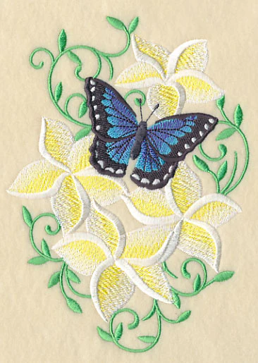 Frangipani and Butterfly - Image 4