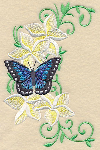 Frangipani and Butterfly Spray - Image 4