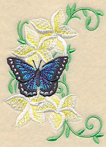 Frangipani and Butterfly Spray - Image 5