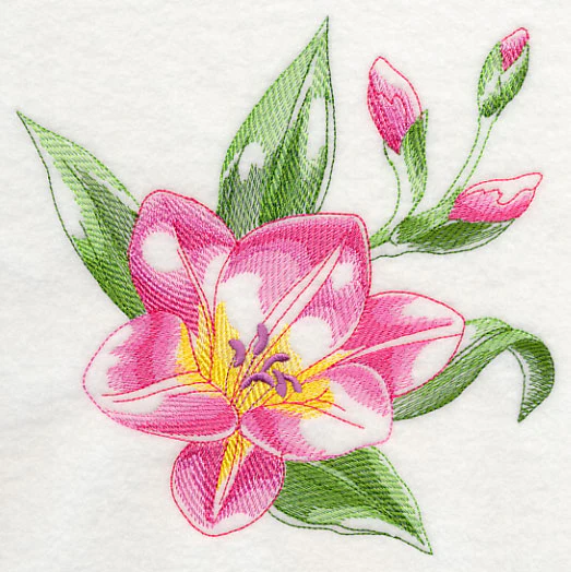 Freesia Beauty - Image 2