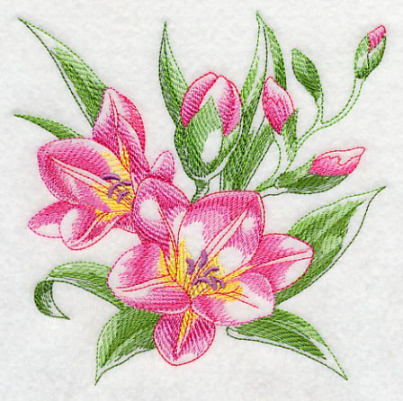 Freesia Sketch - Image 5