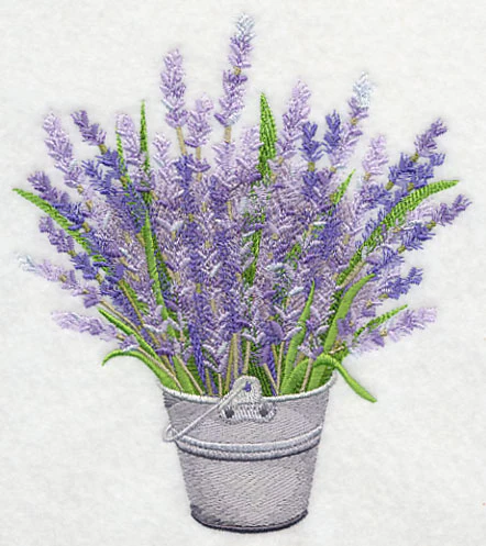 French Lavender in Pail - Image 2