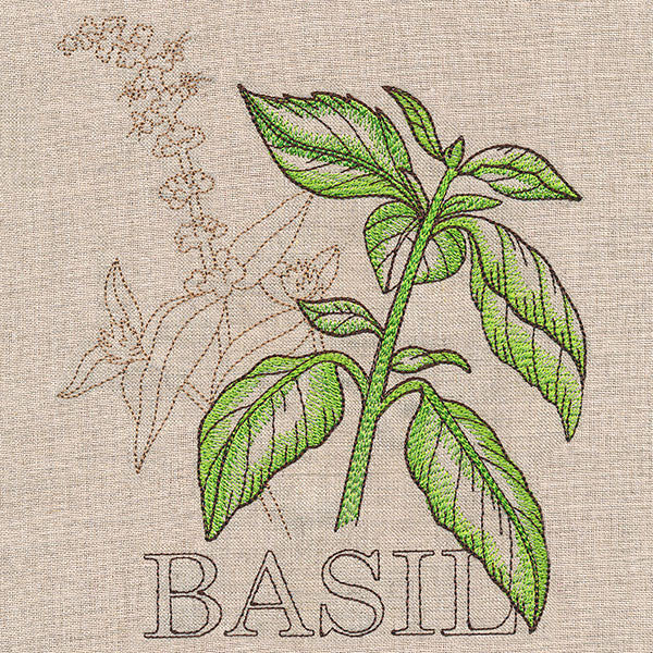 Fresh Basil Medley - Image 2