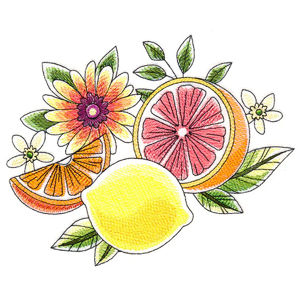 Fresh Citrus and Botanicals Accent - Image 4