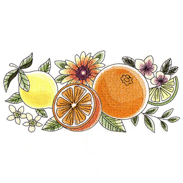 Fresh Citrus and Botanicals Border - Image 2