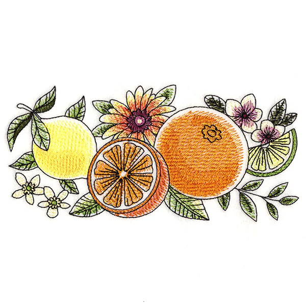 Fresh Citrus and Botanicals Border - Image 4