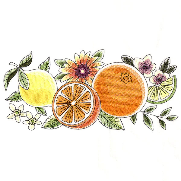 Fresh Citrus and Botanicals Border - Image 5