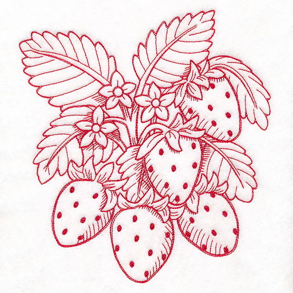 Fresh From Harvest Strawberries Etching - Image 4