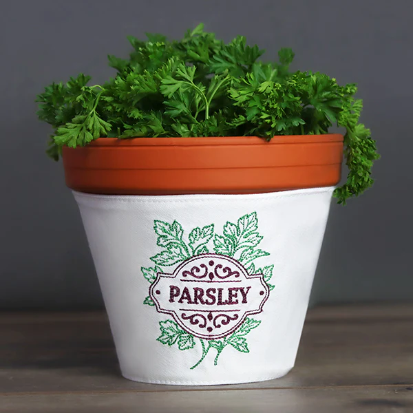 Fresh From the Garden - Parsley - Image 2