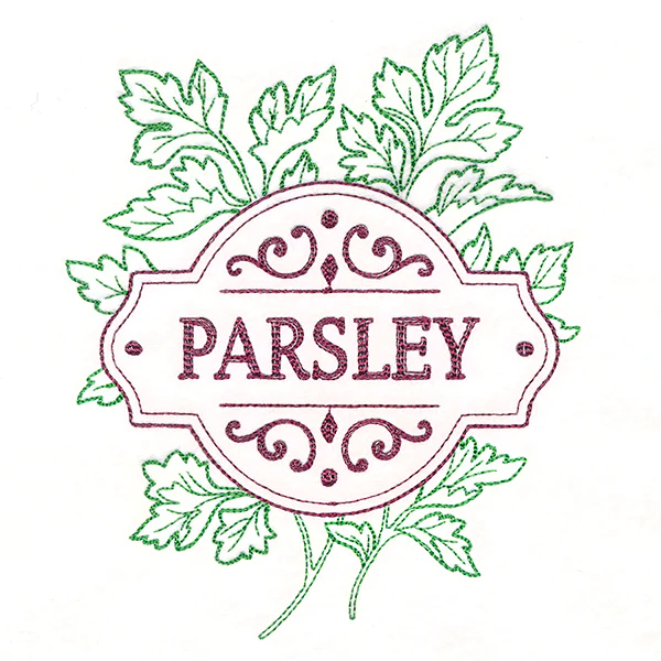 Fresh From the Garden - Parsley - Image 7