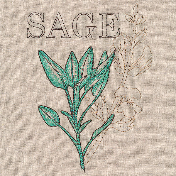 Fresh Sage Medley - Image 3