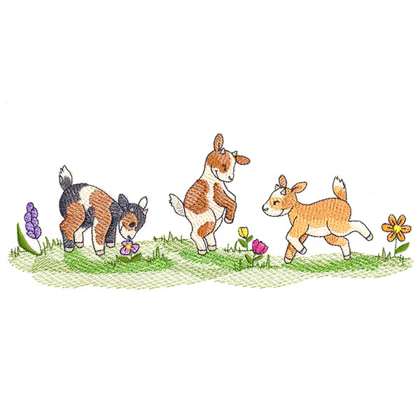 Frolicking Baby Goats - Image 2