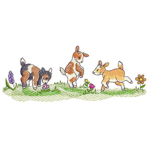 Frolicking Baby Goats - Image 3