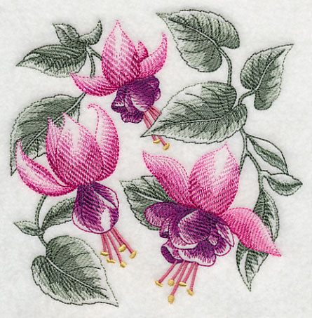Fuchsia Sketch - Image 3
