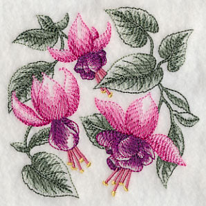 Fuchsia Sketch - Image 5