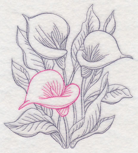 Garden Calla Lily Etching - Image 2