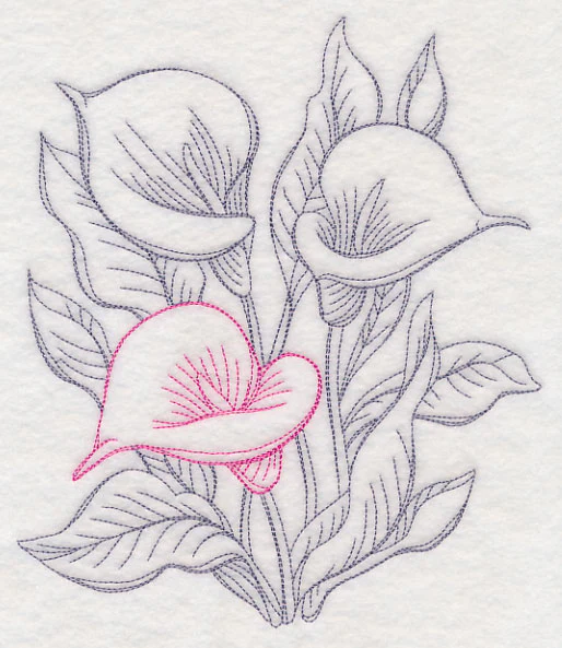 Garden Calla Lily Etching - Image 6