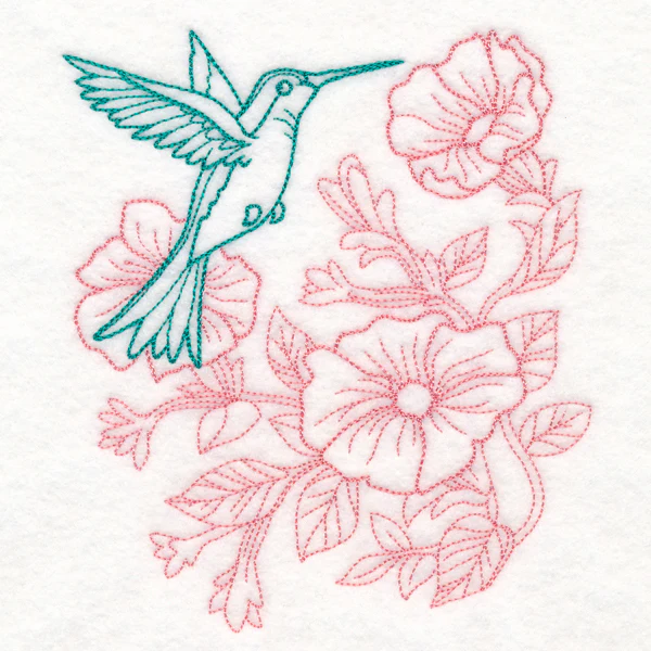 Garden Hummingbird Etching - Image 4