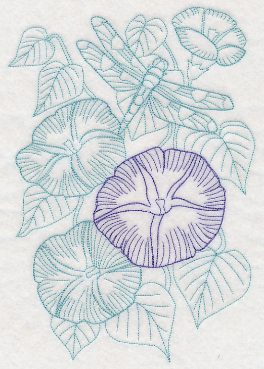 Garden Morning Glory Etching