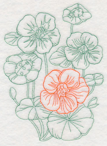 Garden Nasturtium Etching - Image 4
