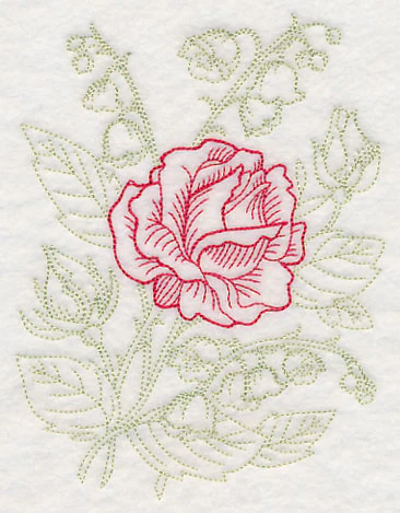 Garden Rose Etching - Image 4