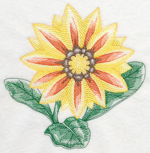 Gazania Beauty - Image 2
