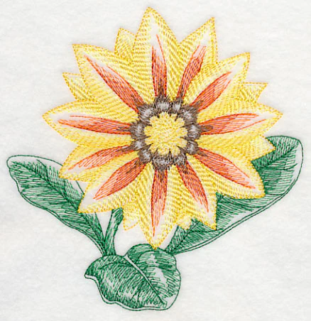Gazania Beauty - Image 3