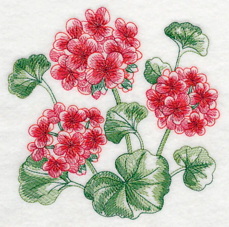 Geranium Sketch - Image 3
