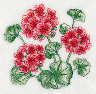 Geranium Sketch - Image 5