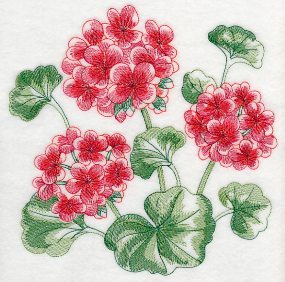 Geranium Sketch - Image 6