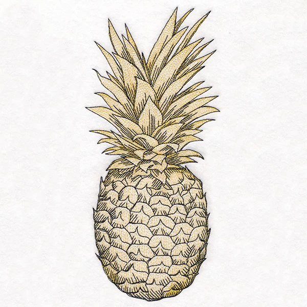 Glorious and Golden Pineapple Etching - Image 2