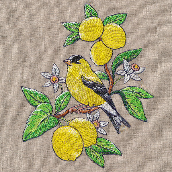 Glorious Goldfinch and Lemons - Image 3