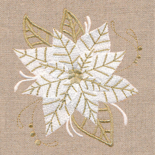 Golden Glamour Poinsettia - Image 4