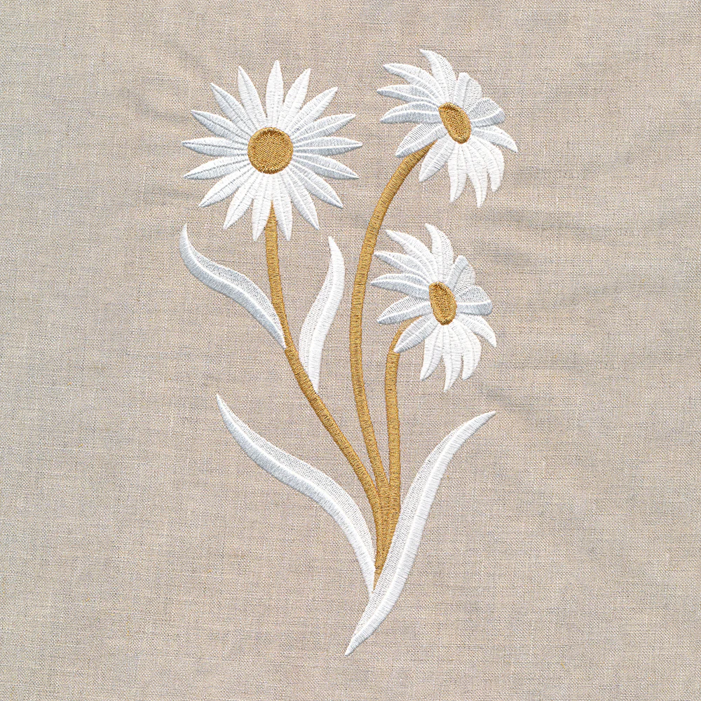 Golden Harvest Daisy - Image 2