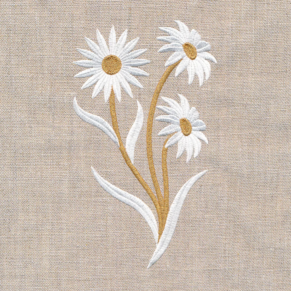 Golden Harvest Daisy - Image 7