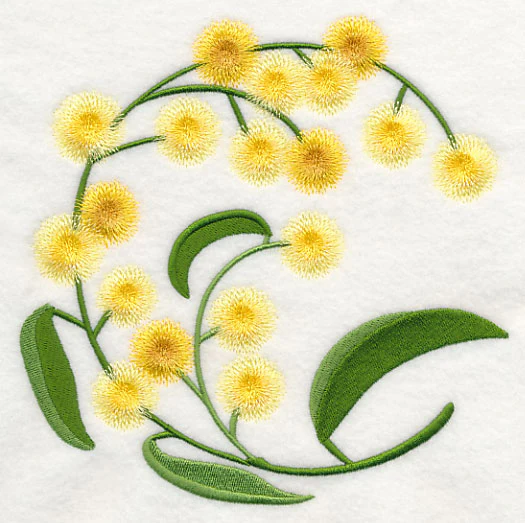 Golden Wattle - Image 2