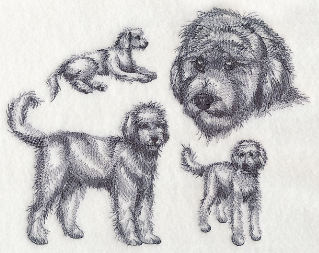 Goldendoodle Sketch - Image 5