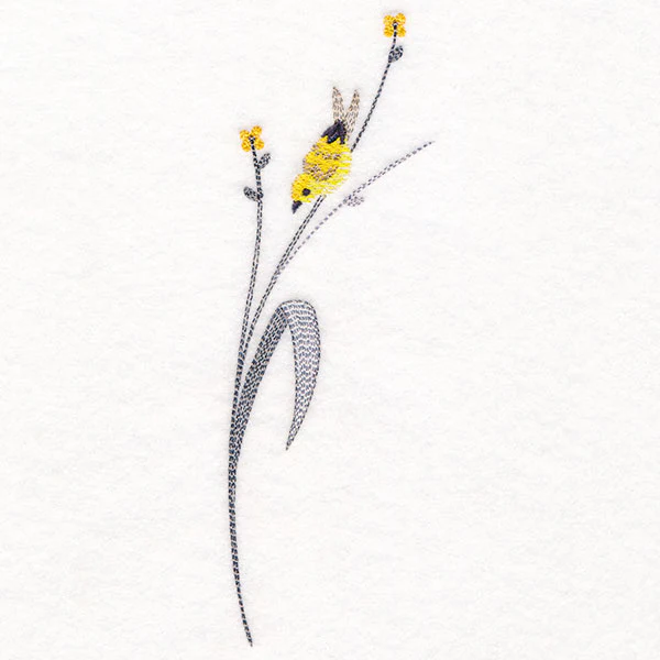 Goldfinch and Fields Accent - Image 2