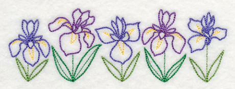 Graceful Iris Border (Vintage) - Image 4