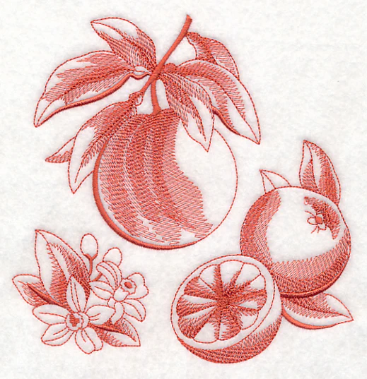 Grapefruit Botanical (Toile) - Image 2