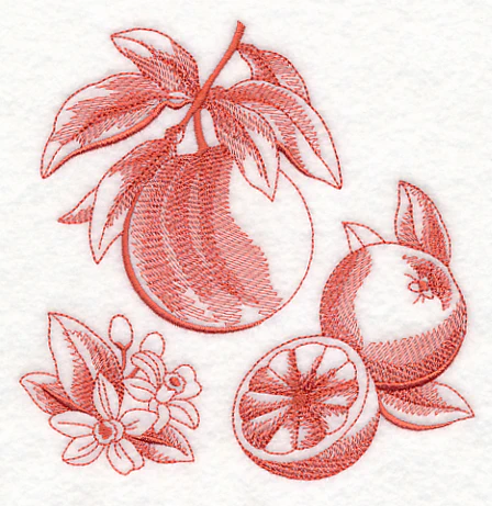 Grapefruit Botanical (Toile) - Image 3