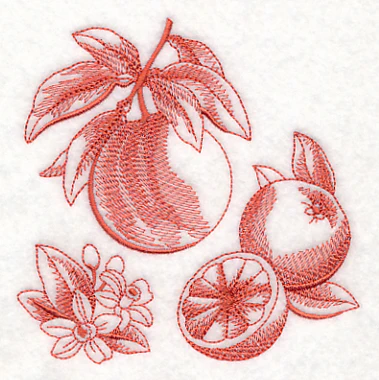 Grapefruit Botanical (Toile) - Image 4