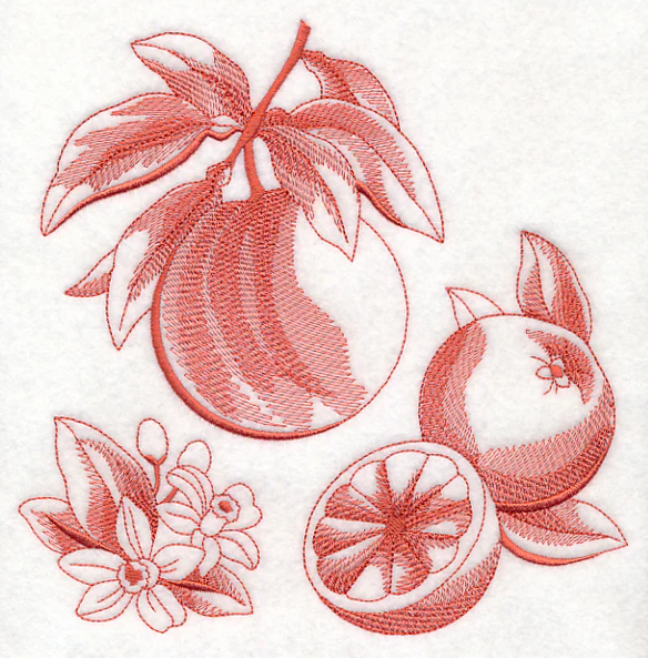 Grapefruit Botanical (Toile) - Image 6