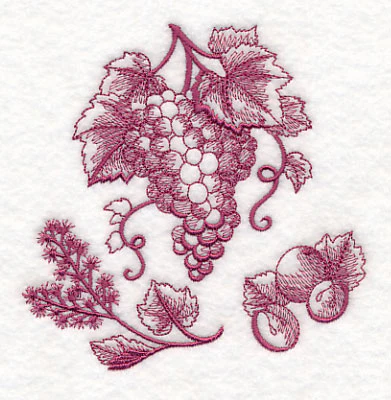 Grapes Botanical (Toile) - Image 4