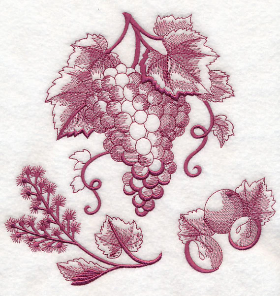 Grapes Botanical (Toile) - Image 6
