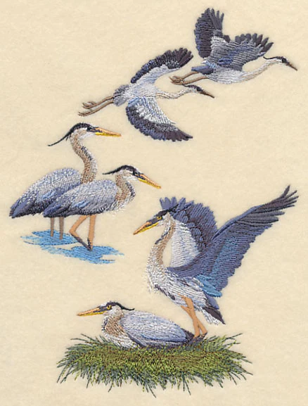 Great Blue Heron Collage - Image 3