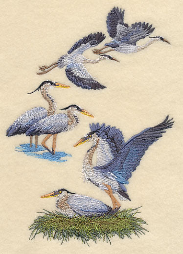 Great Blue Heron Collage - Image 4
