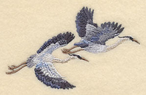 Great Blue Herons in Flight - Image 2