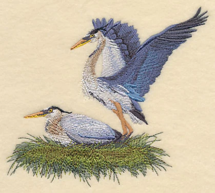 Great Blue Herons Nesting - Image 3